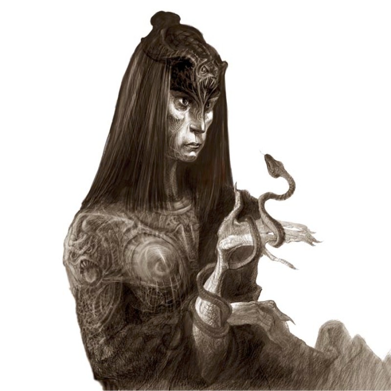 Character design for Draconia